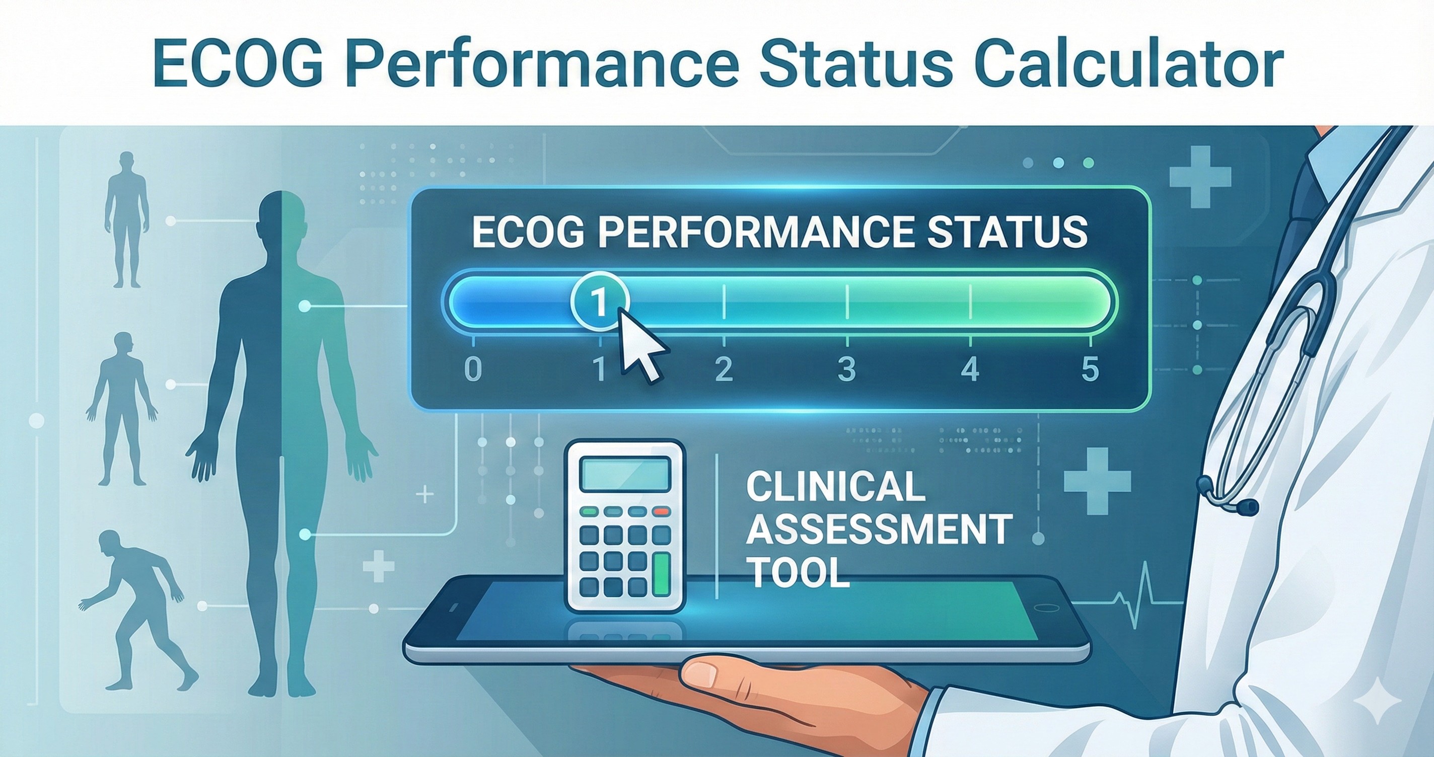 ECOG Performance Status Calculator | Clinical Tool