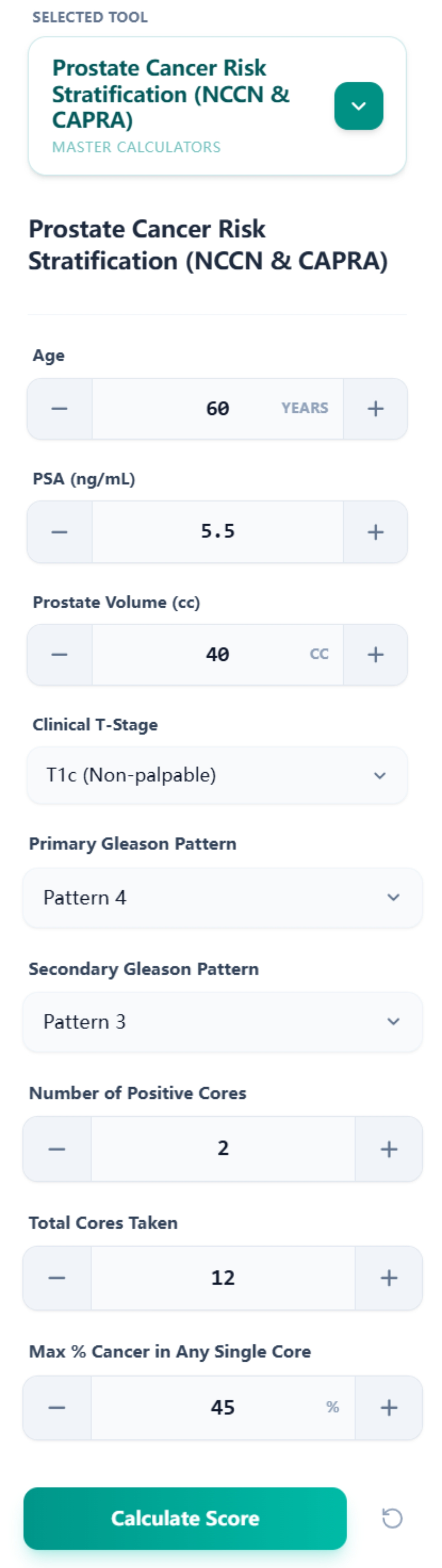 Calculator Input Interface