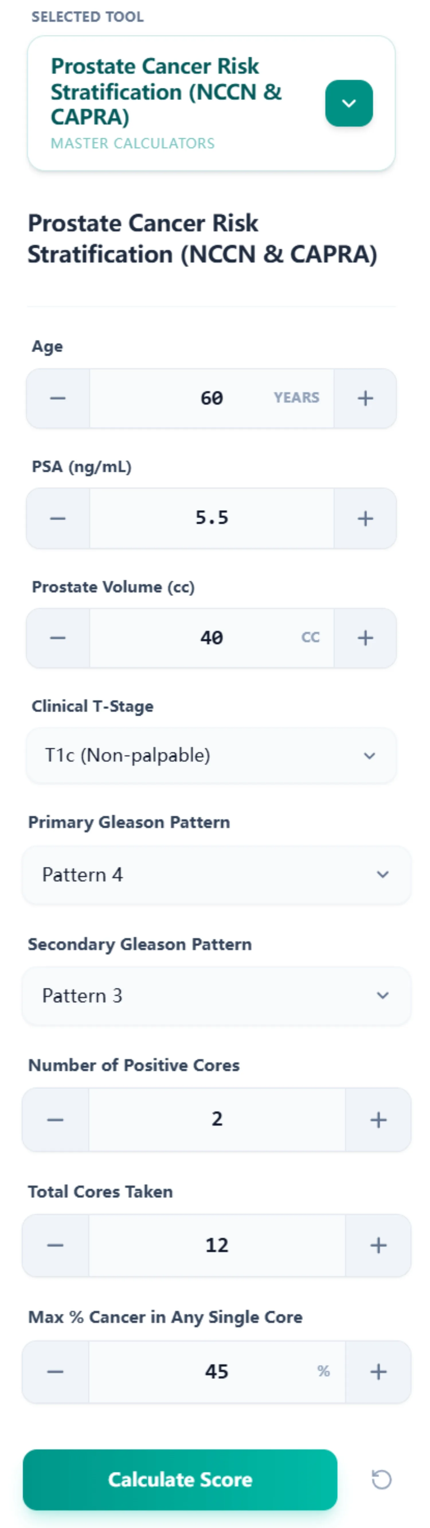 Calculator Input Interface